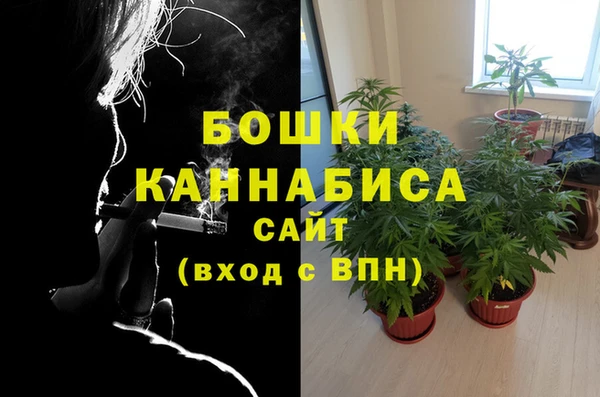 дживик Бородино