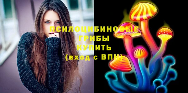 бошки Верея