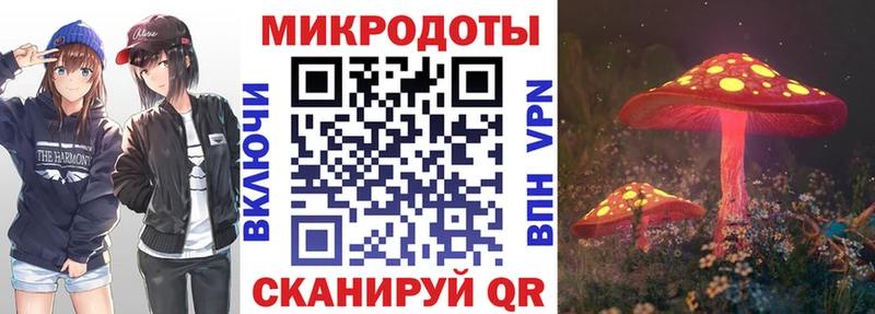 KRAKEN ссылка  Качканар  Псилоцибиновые грибы GOLDEN TEACHER 